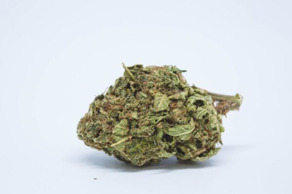 köp Blueberry Haze i Sverige - Bild 3